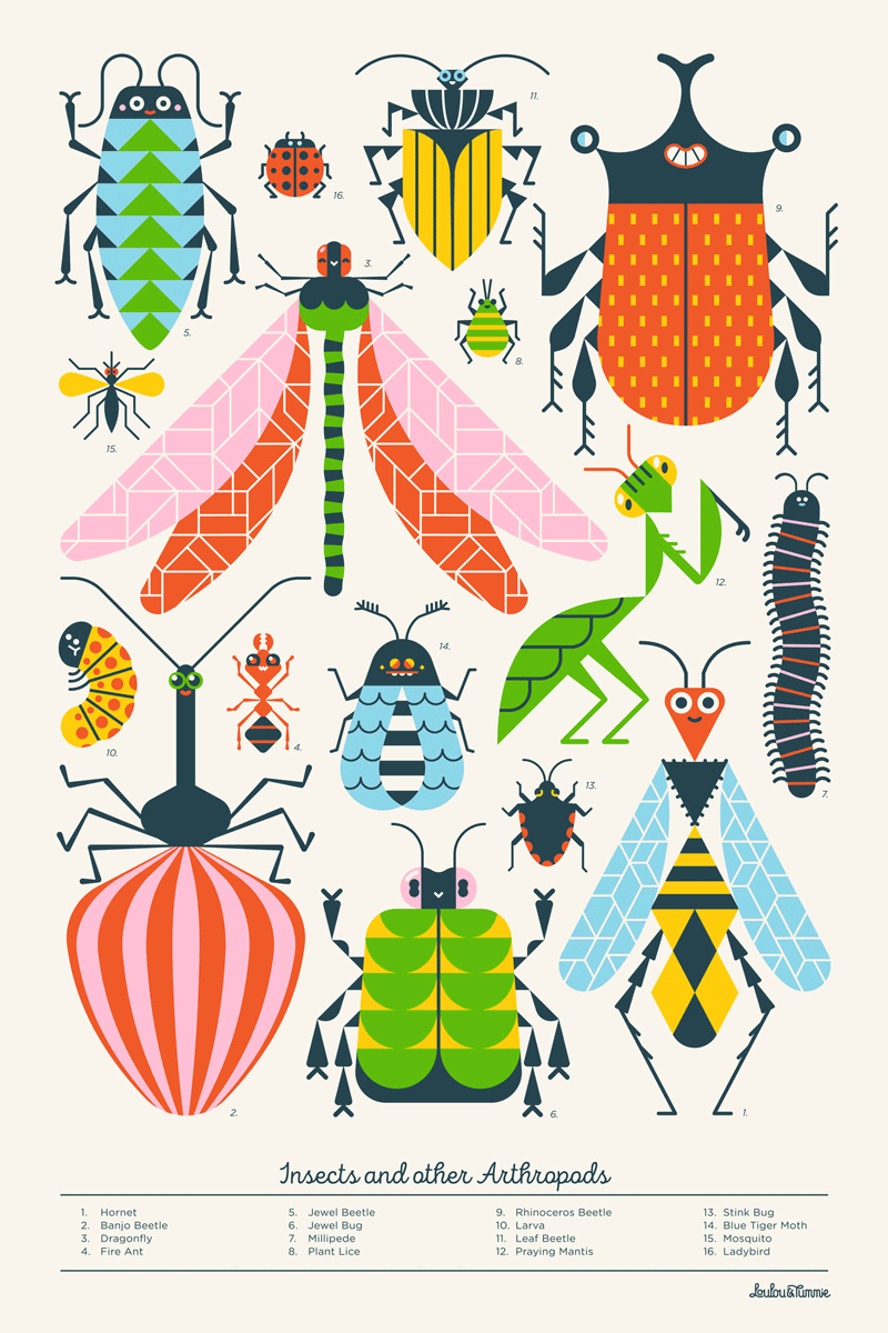 Detail Bug Illustrations Nomer 8