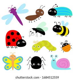 Detail Bug Image Nomer 12