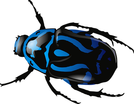 Detail Bug Image Nomer 3