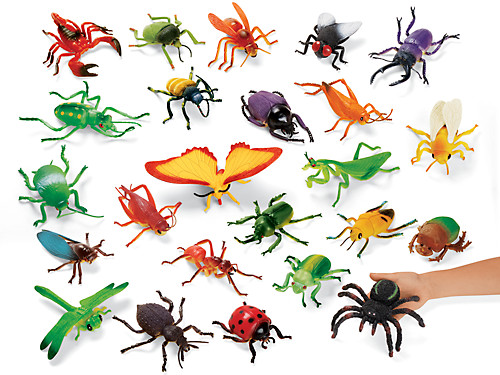 Detail Bug Image Nomer 26