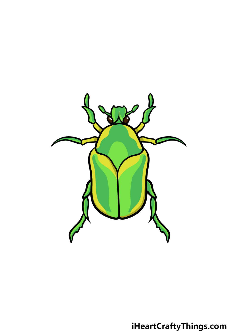 Detail Bug Image Nomer 51