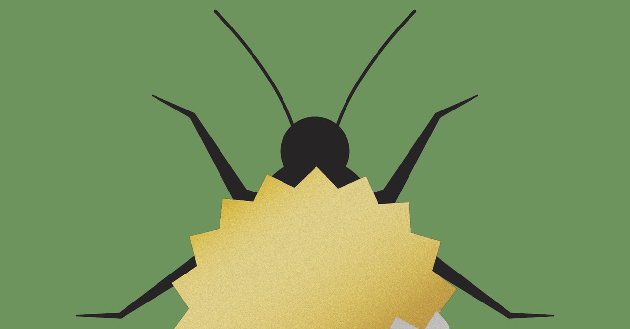 Detail Bug Image Nomer 10
