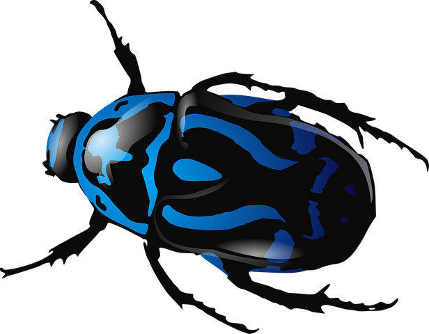Detail Bug Images Nomer 10