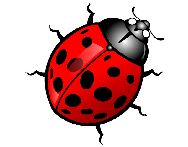 Detail Bug Images Clip Art Nomer 2