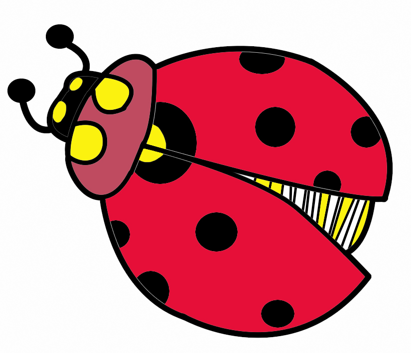 Detail Bug Images Clip Art Nomer 23