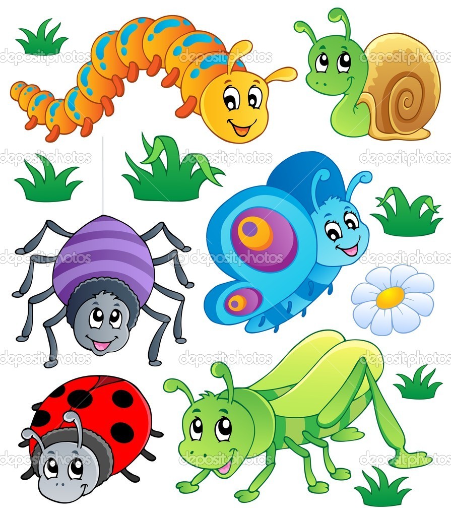 Detail Bug Images Clip Art Nomer 31