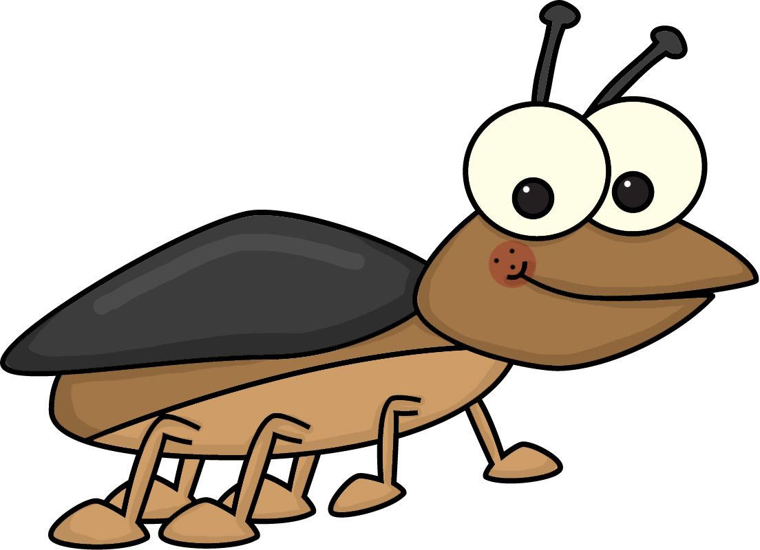 Detail Bug Images Clip Art Nomer 5