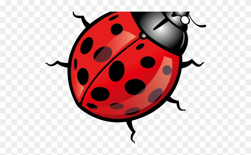 Detail Bug Images Clip Art Nomer 47