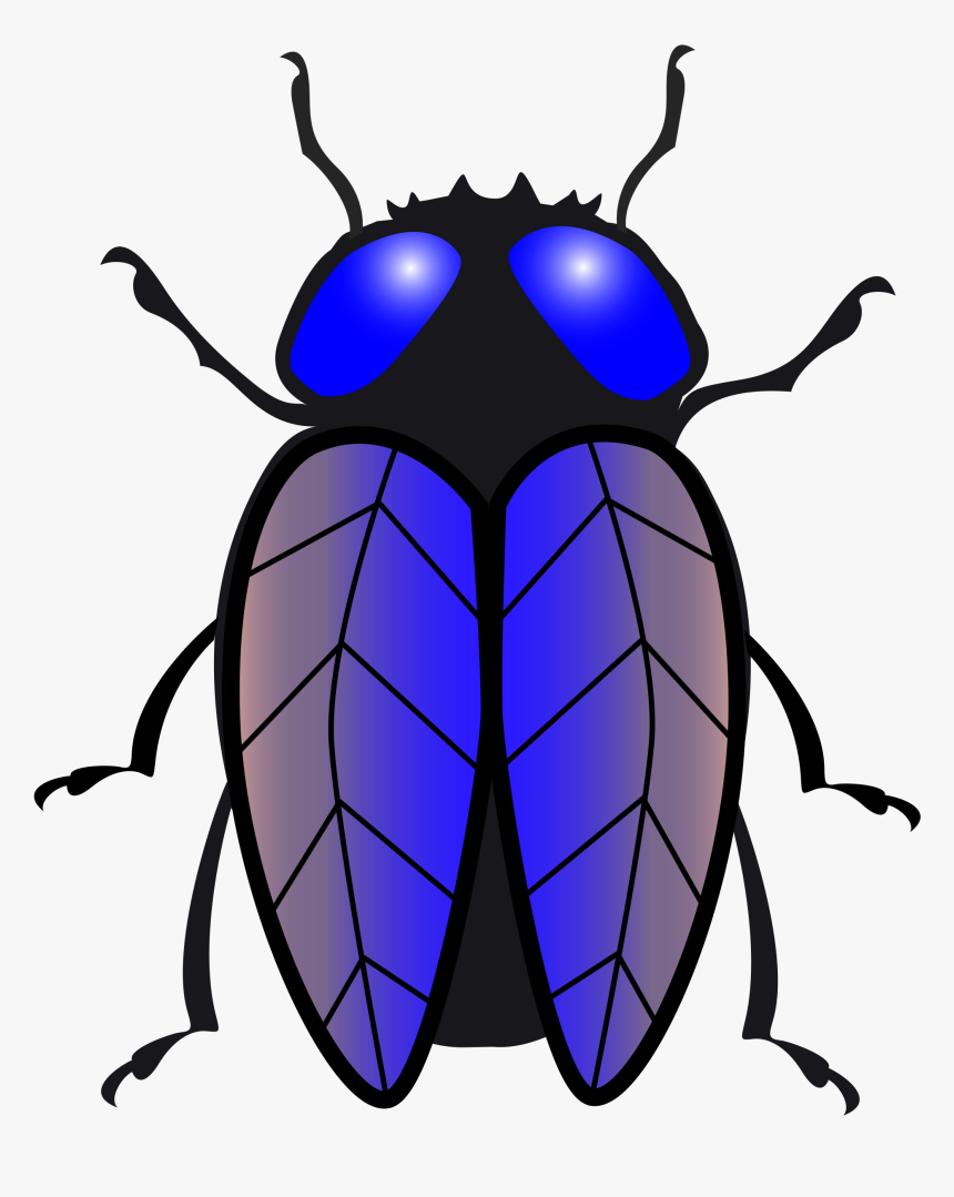 Detail Bug Images Clip Art Nomer 48