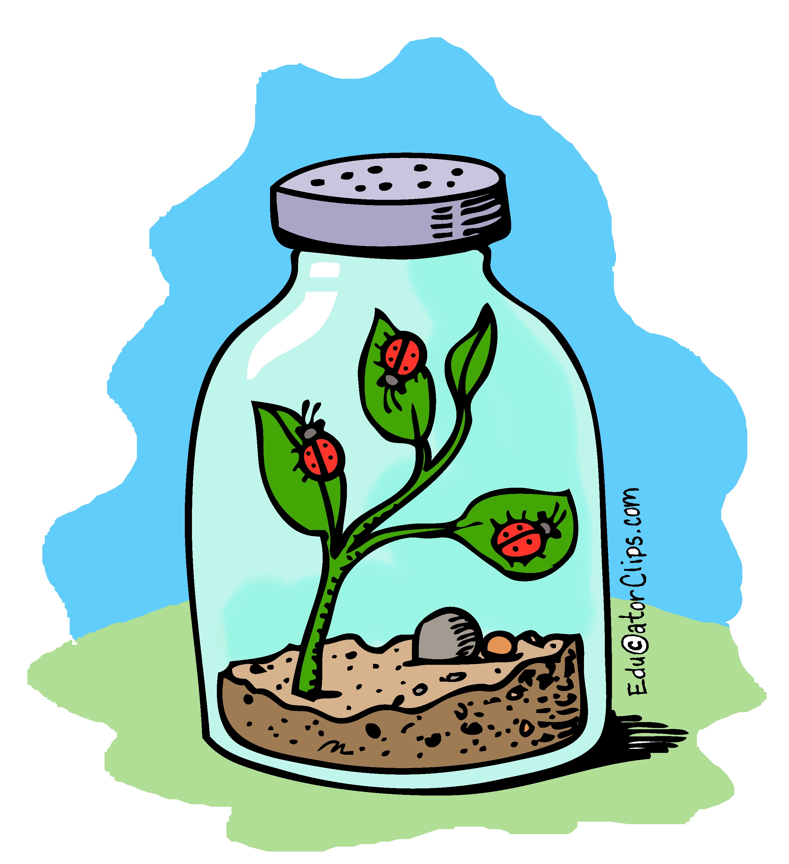 Detail Bug Jar Clip Art Nomer 2