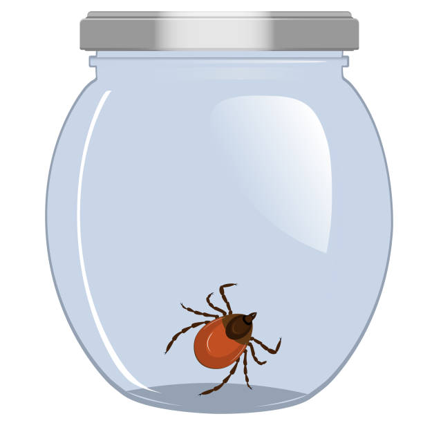 Detail Bug Jar Clip Art Nomer 32