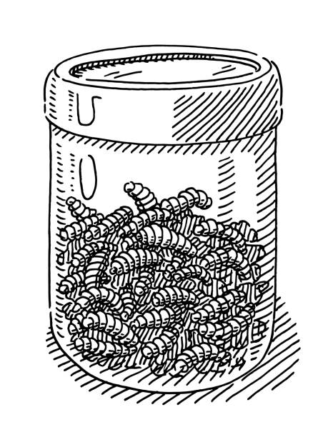 Detail Bug Jar Clip Art Nomer 40