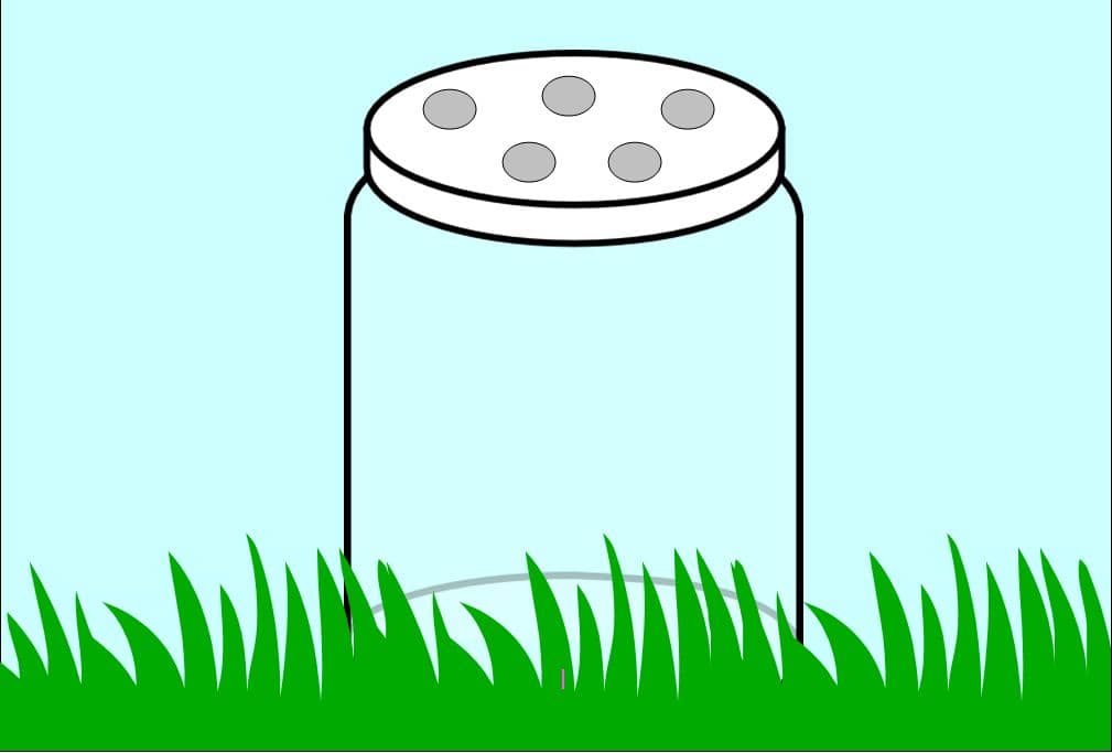 Detail Bug Jar Clip Art Nomer 9