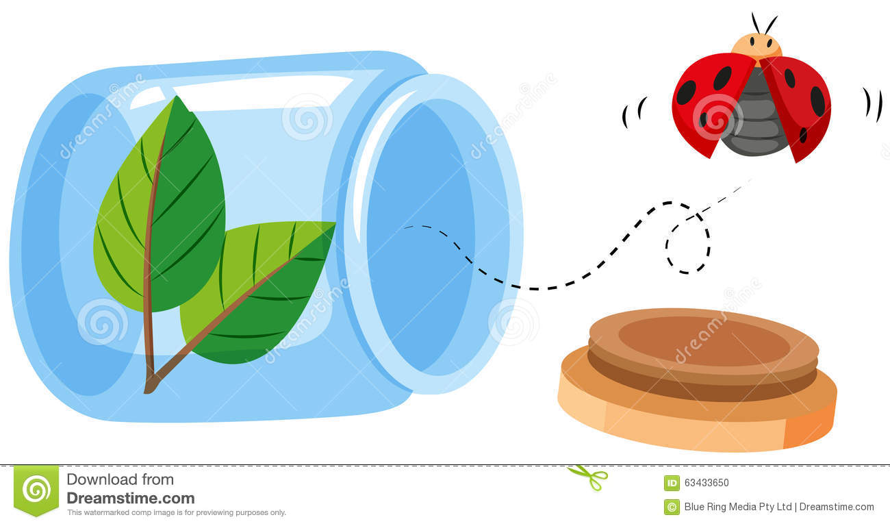 Detail Bug Jar Clipart Nomer 20