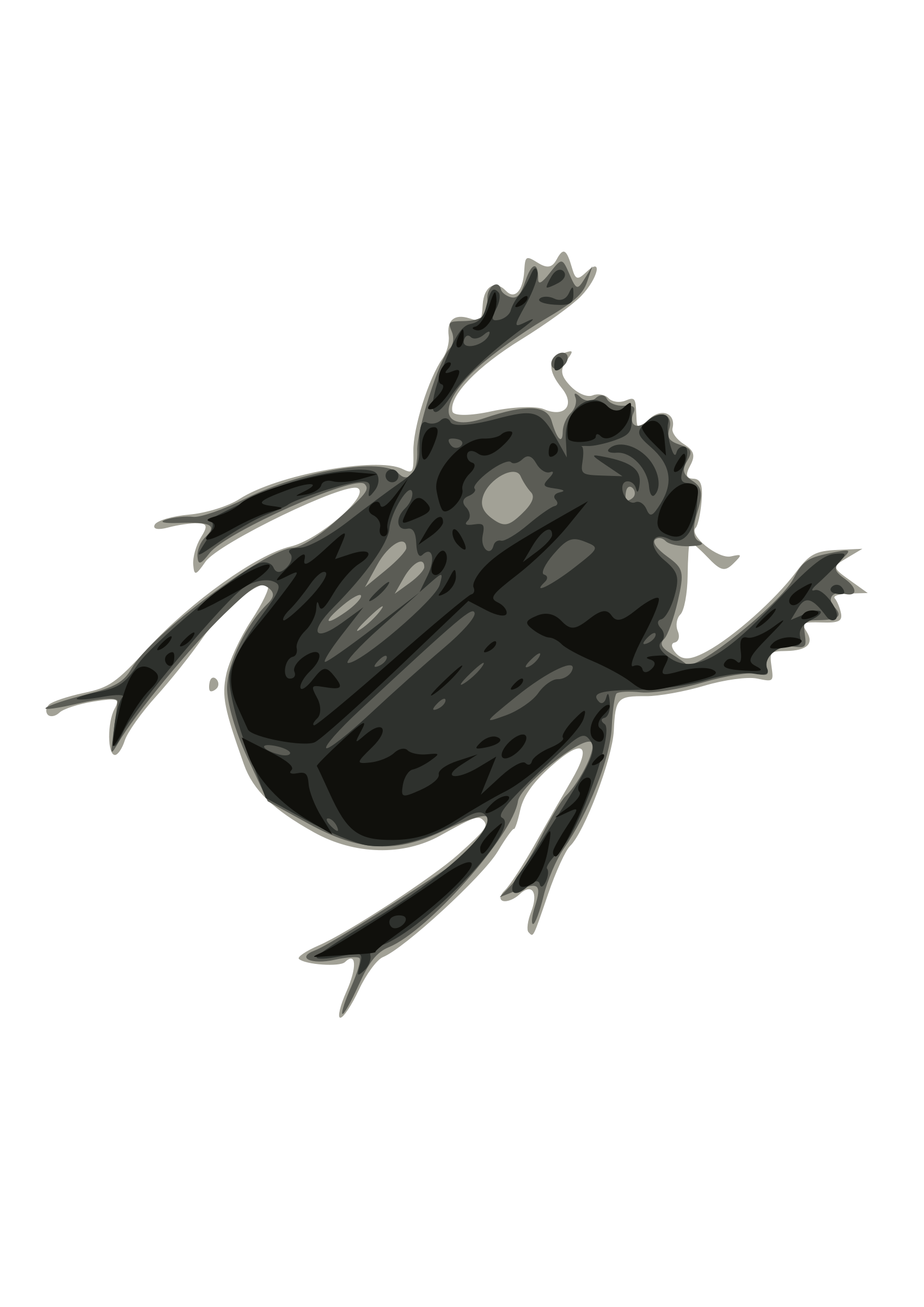 Detail Bug Png Nomer 29