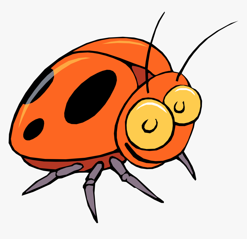 Detail Bug Png Nomer 35