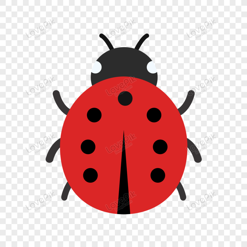 Detail Bug Png Nomer 46