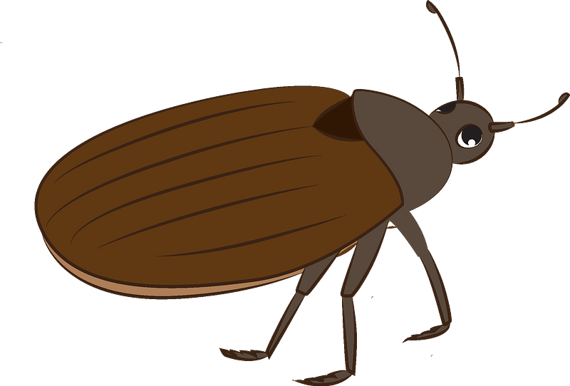 Detail Bug Png Nomer 54
