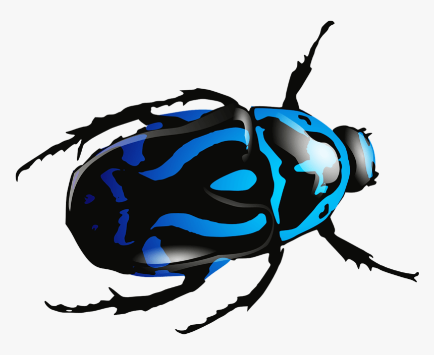Detail Bug Png Nomer 56