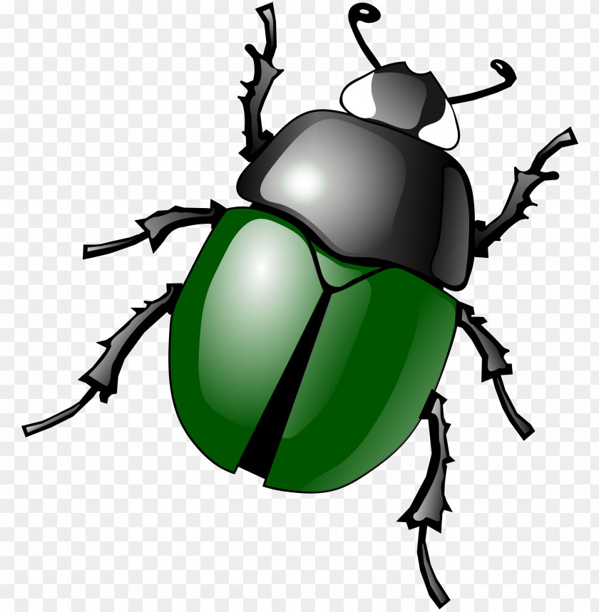 Detail Bug Png Nomer 8