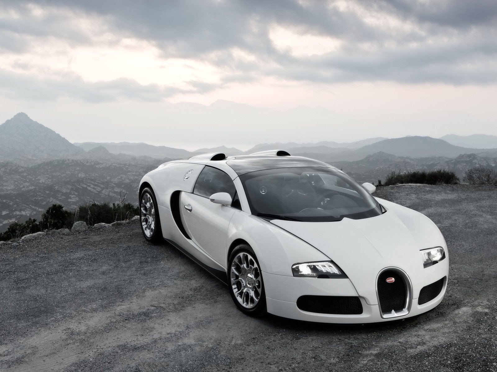 Detail Bugatti Background Nomer 20