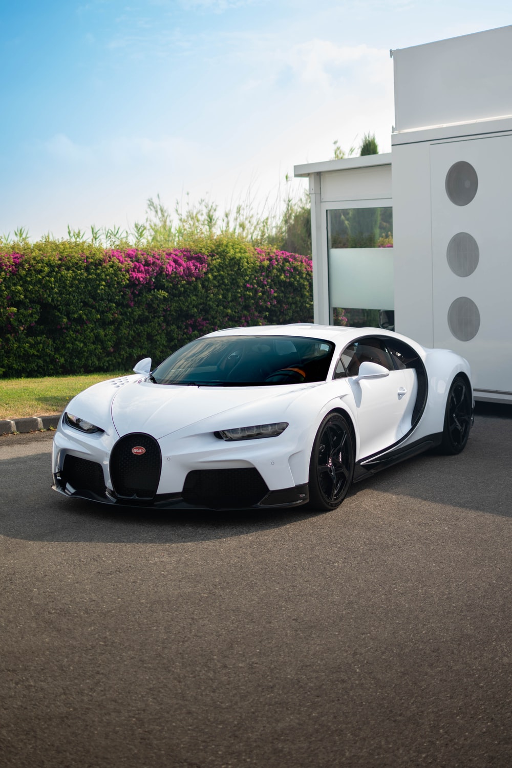 Detail Bugatti Download Nomer 21