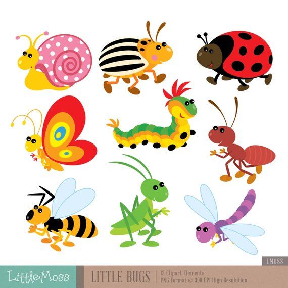 Detail Bugs Clipart Nomer 33