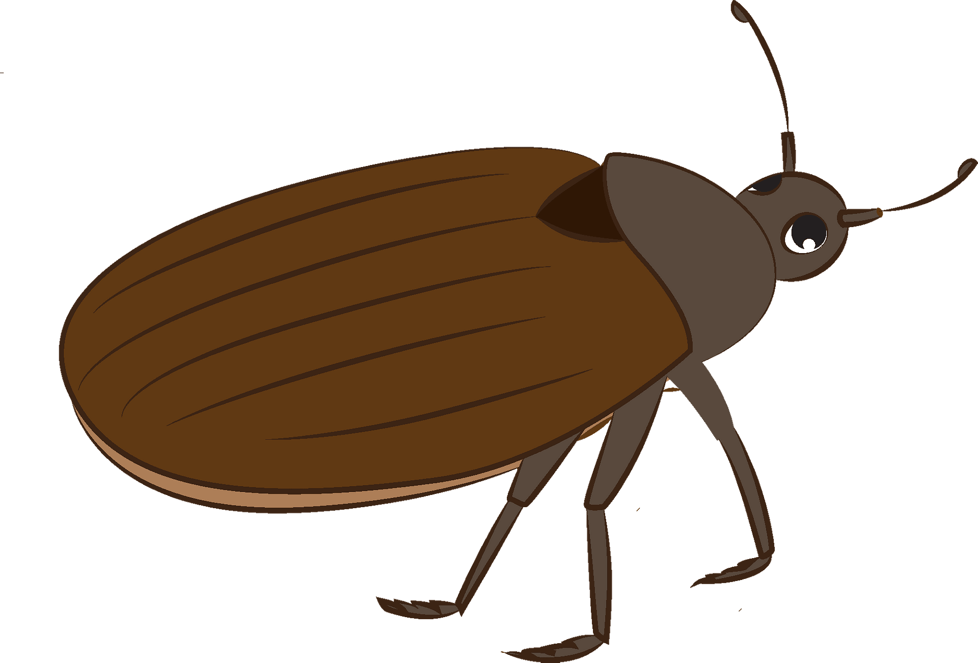 Detail Bugs Clipart Nomer 35