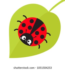 Detail Bugs Clipart Free Nomer 36