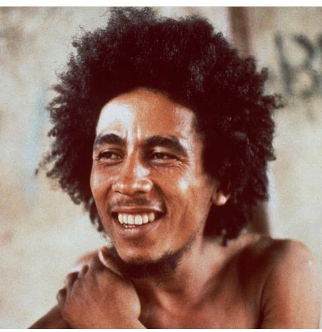 Detail Bugs In Bob Marleys Hair Nomer 16