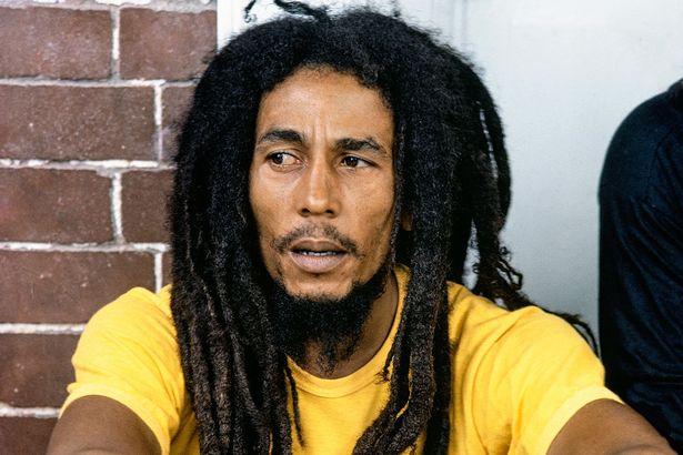 Detail Bugs In Bob Marleys Hair Nomer 4