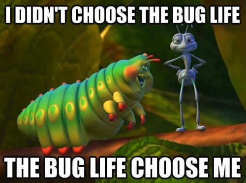 Detail Bugs Life Caterpillar Meme Nomer 27