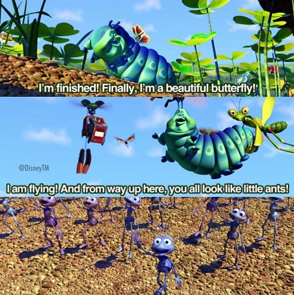 Detail Bugs Life Caterpillar Meme Nomer 39