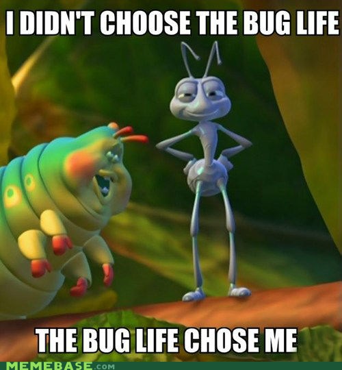 Detail Bugs Life Caterpillar Meme Nomer 42