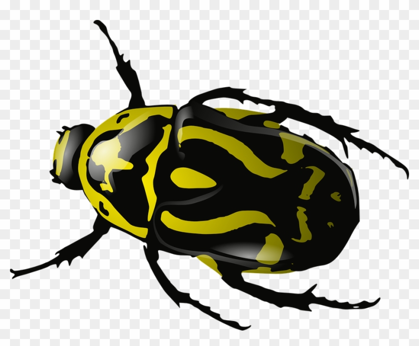 Detail Bugs Png Nomer 28