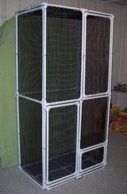 Building A Sugar Glider Cage - KibrisPDR
