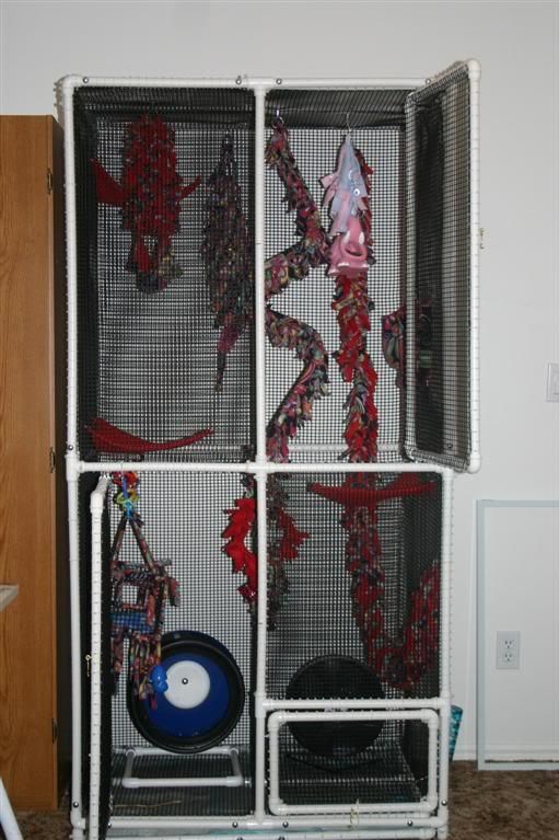 Detail Building A Sugar Glider Cage Nomer 2