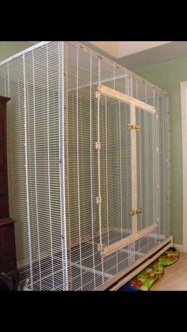 Detail Building A Sugar Glider Cage Nomer 11