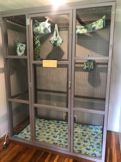 Detail Building A Sugar Glider Cage Nomer 16