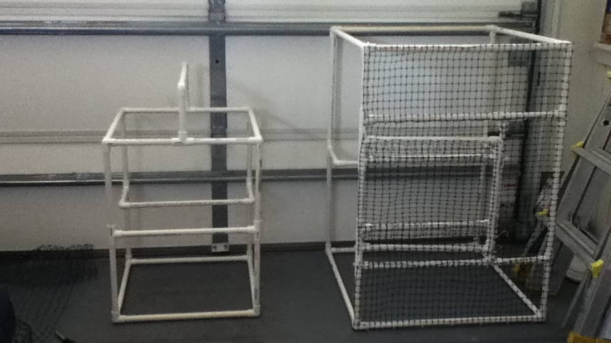 Detail Building A Sugar Glider Cage Nomer 3