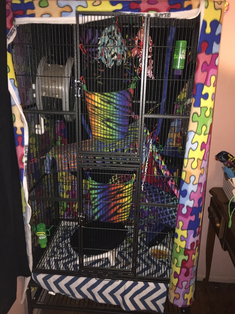 Detail Building A Sugar Glider Cage Nomer 17