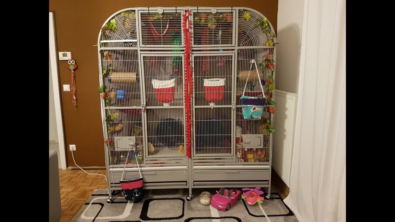Detail Building A Sugar Glider Cage Nomer 31
