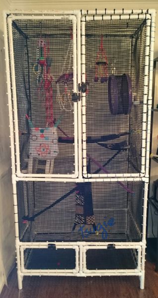 Detail Building A Sugar Glider Cage Nomer 7