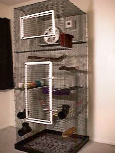 Detail Building A Sugar Glider Cage Nomer 10