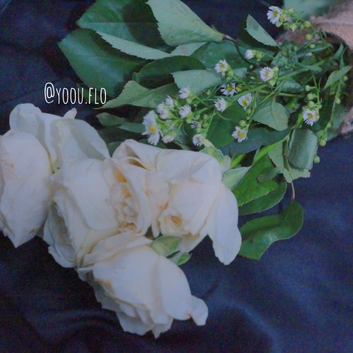 Detail Buket Bunga Bridesmaid Nomer 46