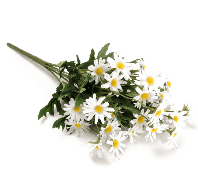 Detail Buket Bunga Daisy Nomer 9