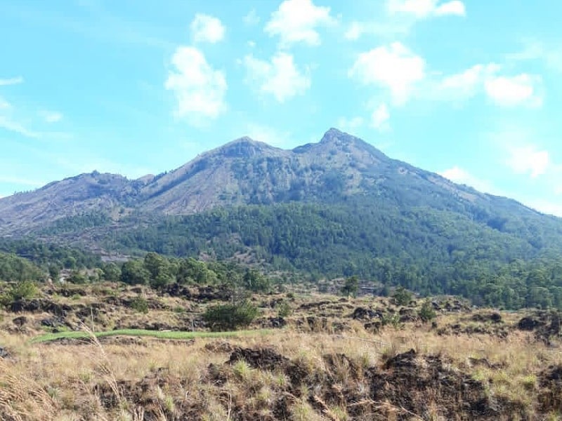 Detail Bukit Kintamani Bali Nomer 19