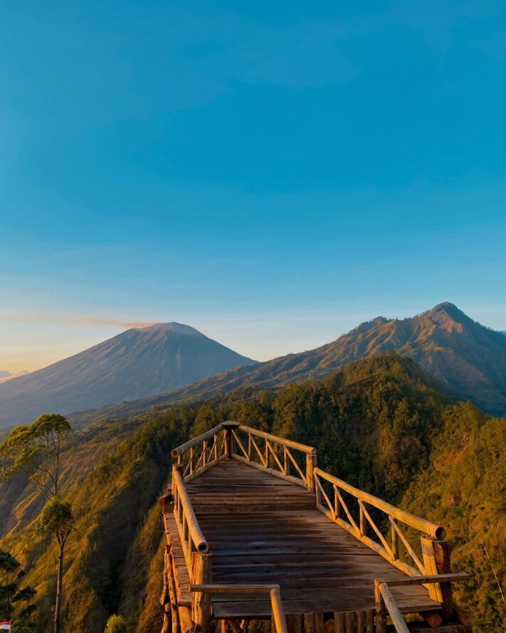 Detail Bukit Kintamani Bali Nomer 3