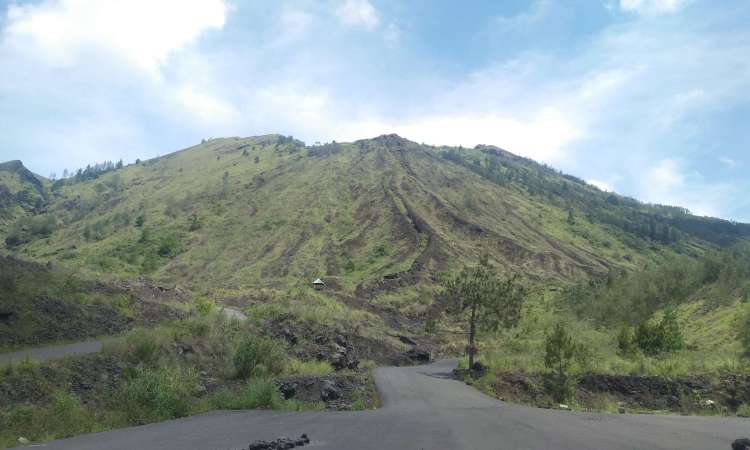 Detail Bukit Kintamani Bali Nomer 44