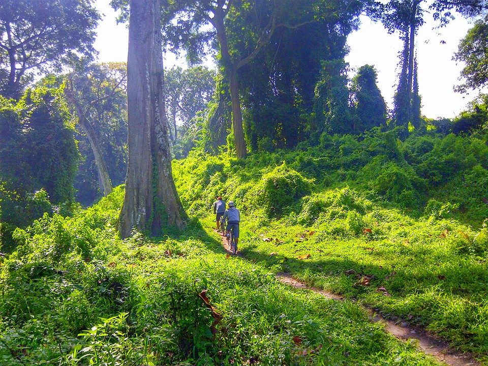 Detail Bukit Kura Kura Nomer 24